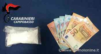 Spaccio di cocaina, arrestato 18enne dai Carabinieri - Termoli Online
