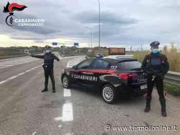 Evade dai domiciliari, 36enne arrestato mentre passeggia a Campomarino - Termoli Online