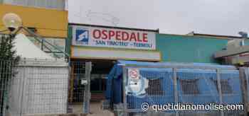 Viene trasferita da Termoli a Campobasso ma partorisce in ambulanza - Il Quotidiano del Molse