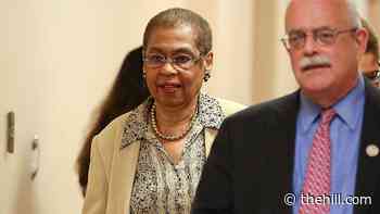 Holmes Norton: Cruz effort to block DC student vaccine mandate 'crosses the line'