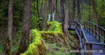 "Wandern mit Kindern in Franken": Was Alexander Pavels Blog so besonders macht