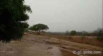 Emparn registra chuva em 93 municípios potiguares e Parelhas acumula 81 milímetros de água em 24 horas - G1