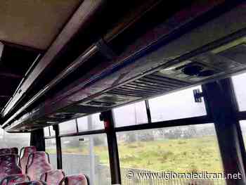 Trani, Ferri (Fdi): «Piove nei bus Stp». L'azienda: «Non erano in servizio, saranno progressivamente sostituiti» - ilgiornaleditrani - Radio Bombo