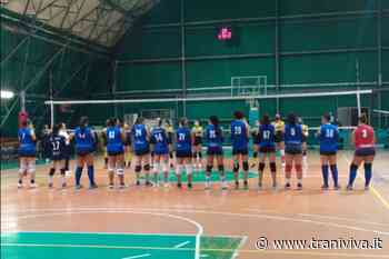 Fipav Puglia, disposto il rinvio delle prossime due giornate dei campionati regionali e territoriali di pallavolo - TraniViva