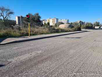 Bari, al via rifacimento asfalto nel Municipio 4. Decaro: "Priorità alle strade in condizioni peggiori" - Telebari
