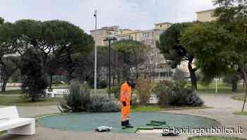 Bari, la pineta San Luca di Japigia rinasce dopo l'abbandono e gli atti vandalici: "È la volta buona" - La Repubblica