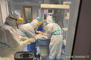 Covid, neonato esce dalla Terapia intensiva di Bari. Il primario: “Qui... - Telebari