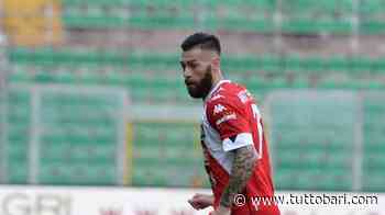 Bari, la forza è l'esperienza. In tanti già nelle categorie superiori: numeri e curiosità - BARI CALCIO