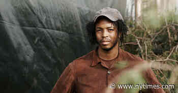 Hugh Hayden, Surrealist Sculptor, Addresses the Education Debate