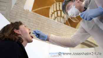 Jobben an der Corona-Front: So helfen Studenten bei der Pandemiebekämpfung