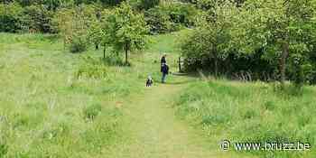 Natuurvereniging luidt alarmbel over bouwprojecten op Mijlemeers in Anderlecht - BRUZZ