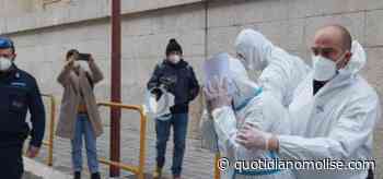 Omicidio di via Vico, incarico all'ex comandate dei Ris di Parma - Il Quotidiano del Molse