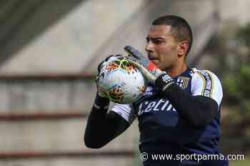 Sepe, Sprocati e Liverani: lavori in corso sull'asse Parma-Salerno - Sport Parma