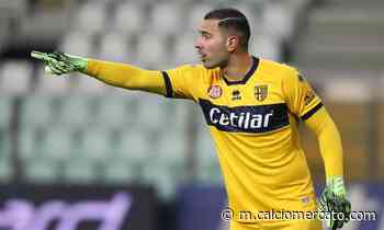 Salernitana, occhi su tre giocatori del Parma | Mercato | Calciomercato.com - Calciomercato.com