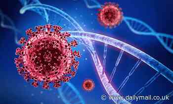 Gene more than doubles the risk of becoming severely ill with Covid