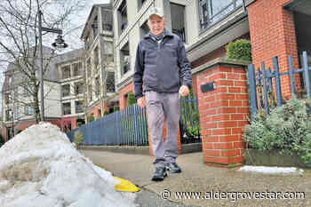 Langley seniors walking club keeps going despite poor weather – Aldergrove Star - Aldergrove Star
