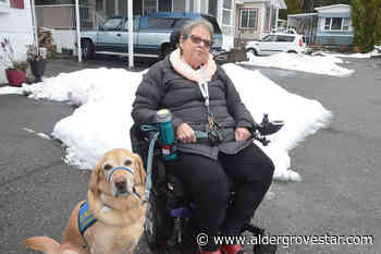 Heavy snow can trap Langley wheelchair users at home – Aldergrove Star - Aldergrove Star