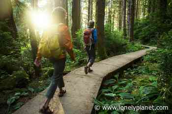 Explore the Sierra Nevada on this 600-mile trail network launching in California - Lonely Planet Travel News