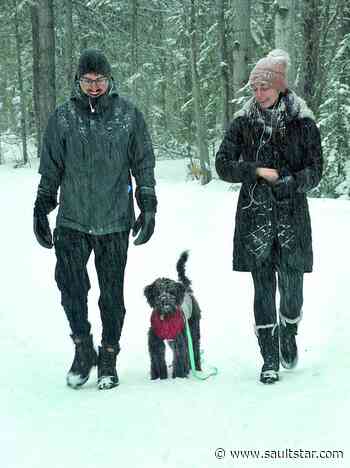 Sault city council identifies James Street Hub Trail link top priority - Sault Star