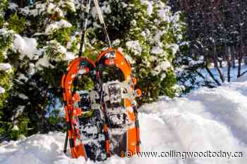 Town Winter Trail Operations & Information - Collingwood News - CollingwoodToday