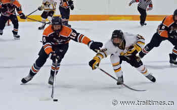 Grand Forks Border Bruins double up BV Nitehawks – Trail Daily Times - Trail Times