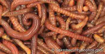 Wormable Windows HTTP hole – what you need to know