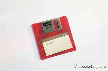 Perusing the Digital Junk of a Web Designer