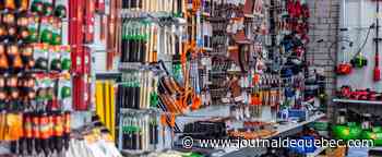 Obligation vaccinal dans les commerces : «Un canon pour tuer une mouche»