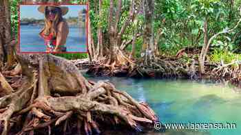 Exploración fallida en los manglares de Roatán en un nuevo intento por hallar rastros de Angie Peña - La Prensa de Honduras