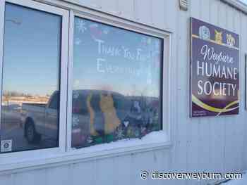 Restoration Underway at Weyburn Humane Society - DiscoverWeyburn.com