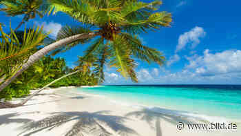 Siegen: Traumurlaub auf Malediven entpuppt sich als Betrug - BILD