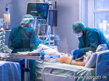 Mehrheit der Corona-Intensivpatienten ist ungeimpft - Landkreis Stade - Tageblatt-online