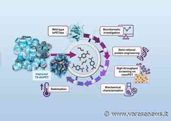Nel laboratorio di biotecnologia dell'Insubria realizzato un enzima in grado di degradare le microplastiche - varesenews.it