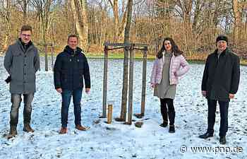 Baum für exzellente Lehre: Preis für Prof. Dr. Dominik Grimm - Passauer Neue Presse