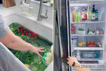 Organization expert shares the savvy hacks which help her store food for weeks – but everyone’s saying the... - The US Sun