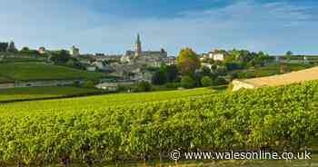 Holidaymakers can set sail to enjoy best French food and wine on Scenic cruises - Wales Online