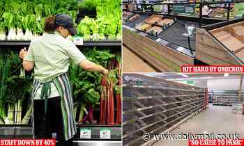 Australian Covid food supply crisis in Woolworths and Coles deepens - Daily Mail