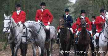 Thousands demand trail hunting ban on Cornwall Council and public land - Cornwall Live