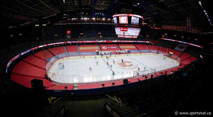 Calgary council approves third-party involvement for new Flames arena - Sportsnet.ca