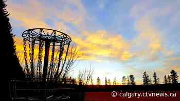 Calgary's Baker Park named the 5th most popular disc golf course in the world - CTV News Calgary