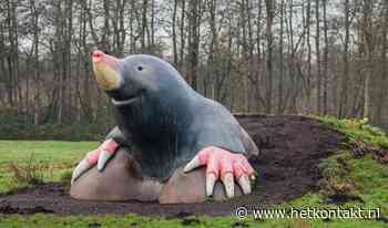 Mol in Loetbos is weer deels hersteld na vuurwerkschade - Kontakt