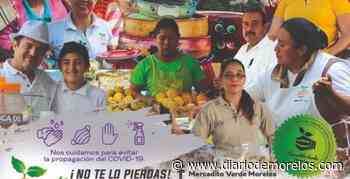 Habrá Mercadito Verde este domingo en el Parque Chapultepec de Cuernavaca - Diario de Morelos