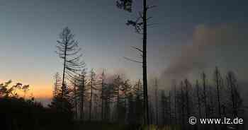 "Rauch" entpuppt sich in Detmold als dunkle Wolke | Lokale Nachrichten aus Detmold - Lippische Landes-Zeitung