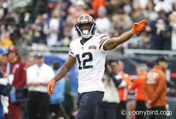 Ravens should steer clear of Allen Robinson in free agency - The Ebony Bird