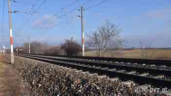 Vater und Tochter aus Bezirk Neunkirchen von Zug getötet - BVZ.at