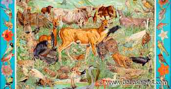 Waco painter Kermit Oliver gets a career show in hometown museum - The Dallas Morning News