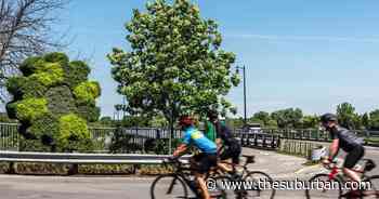 Mosaiculture project lauded | Laval News | thesuburban.com - The Suburban Newspaper