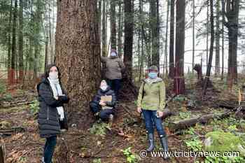 Why are Coquitlam residents protesting the Austin Works Yard expansion project? - The Tri-City News