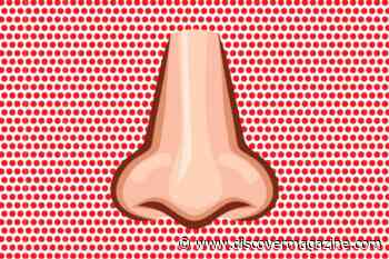 4 Crazy Facts to Know About Your Nose