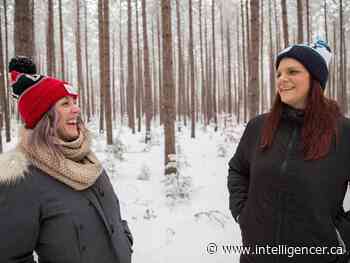 Ottawa Valley Tourist Association encourages support of local businesses, retailers - Belleville Intelligencer